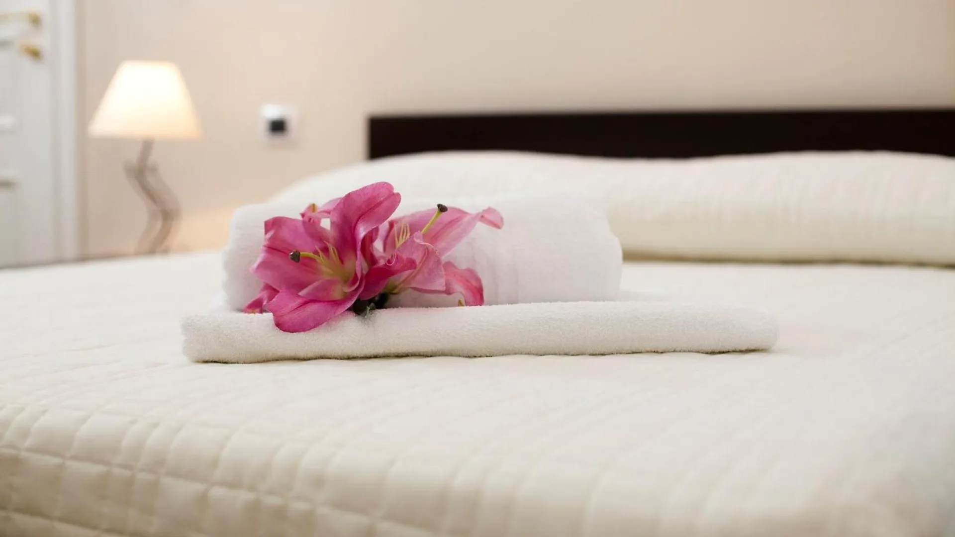 ***  Antiche Volte Bed & Breakfast Catania Italy