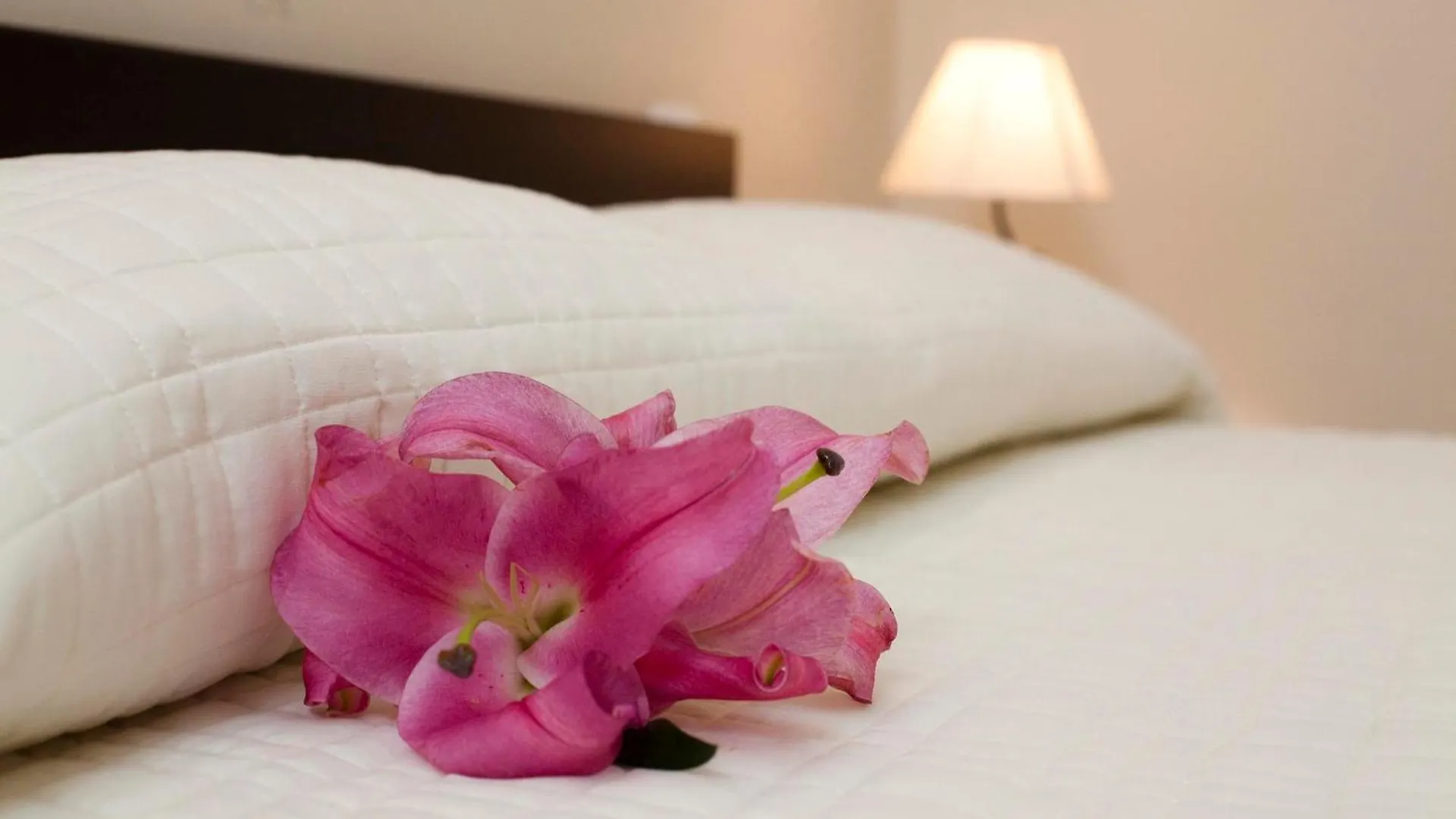 Antiche Volte Bed & Breakfast Catania
